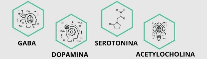 neuroprzekaźniki: gaba, dopamina, serotonina, acetylocholina