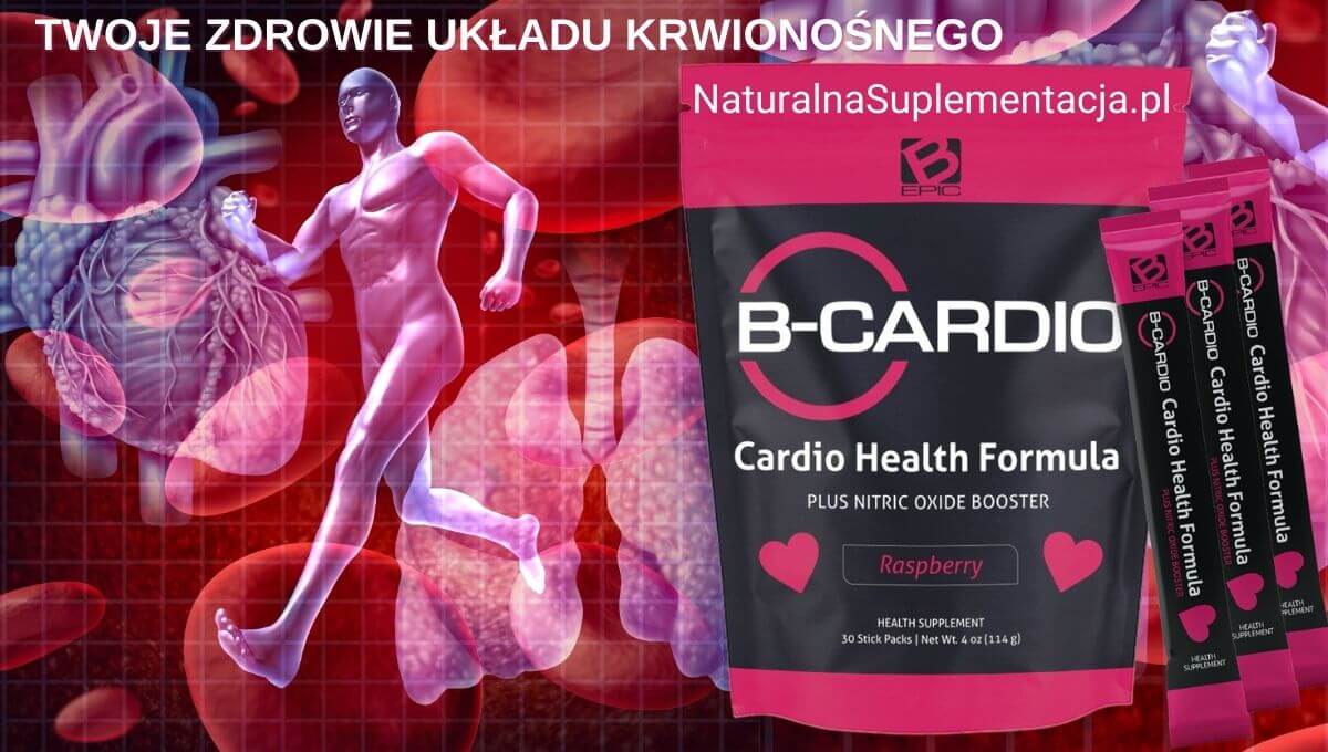 Suplement diety b-cardio na tle układu krwionośnego